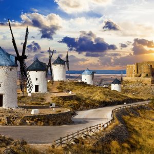 Esplorando le EMOZIONI PRIMARIE