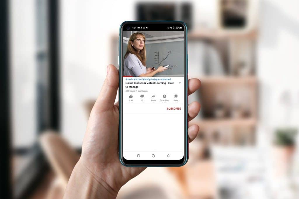 Programas de inmersión lingüística virtual